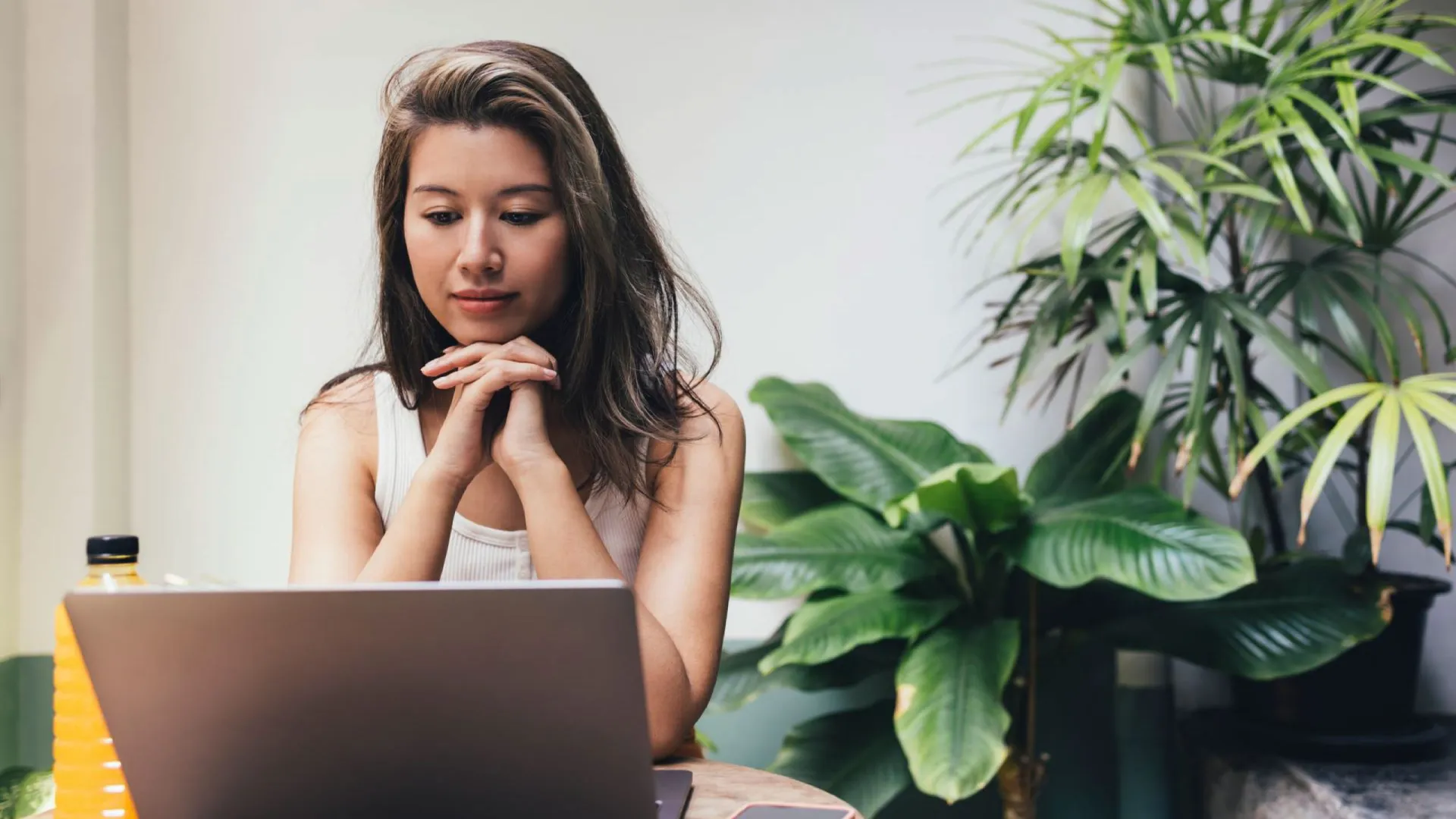 Creating a stress-free environment during online proctored exams