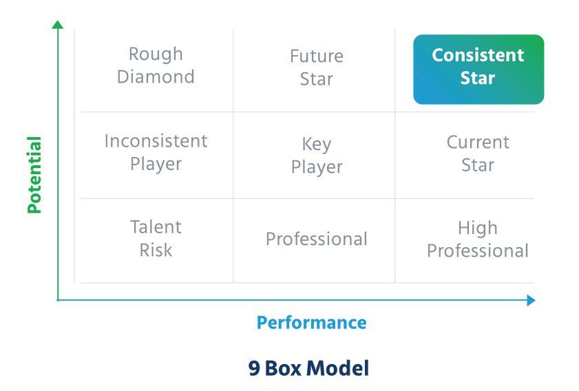 Performance_vs_Potential_9_Box_Model_high_potential_employee_identification_tools_and_process
