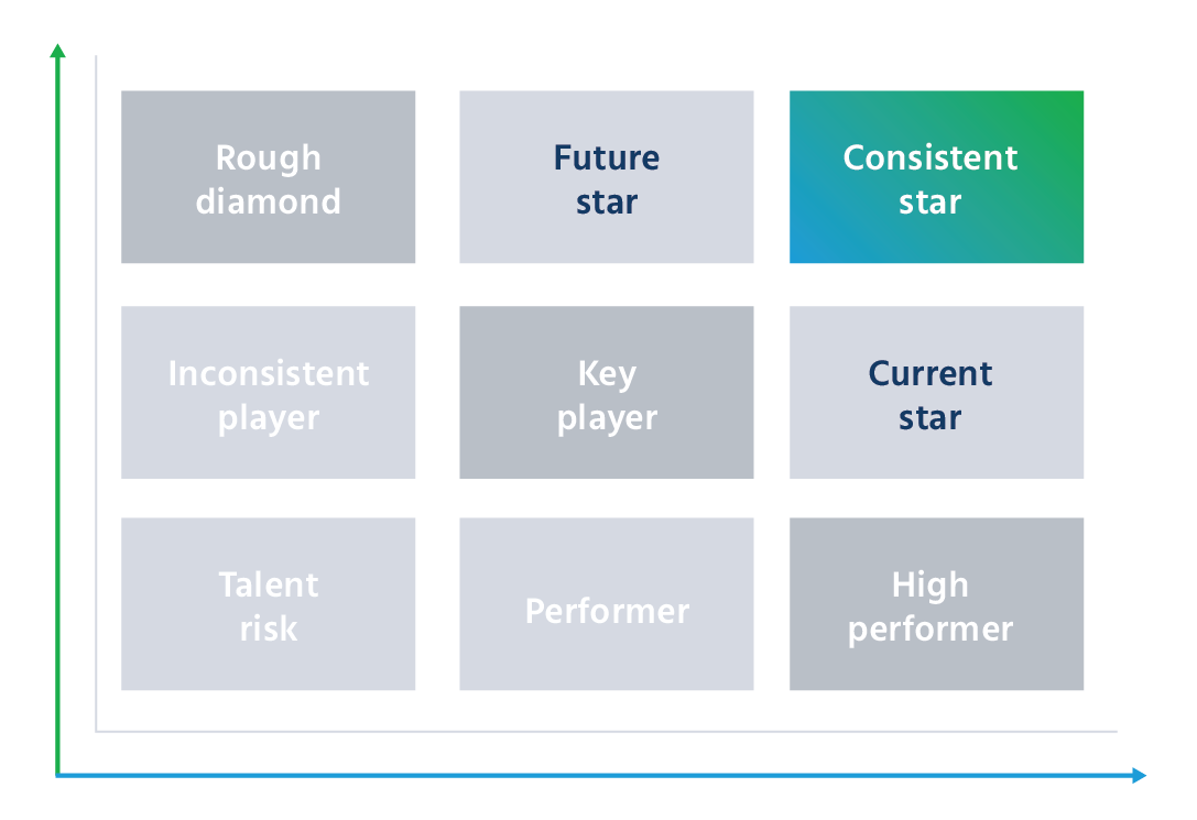performance vs potential matrix, 9-box model