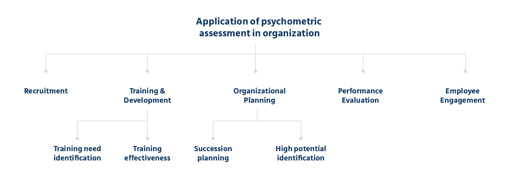 Psychometric Tests Applications in an Organizations