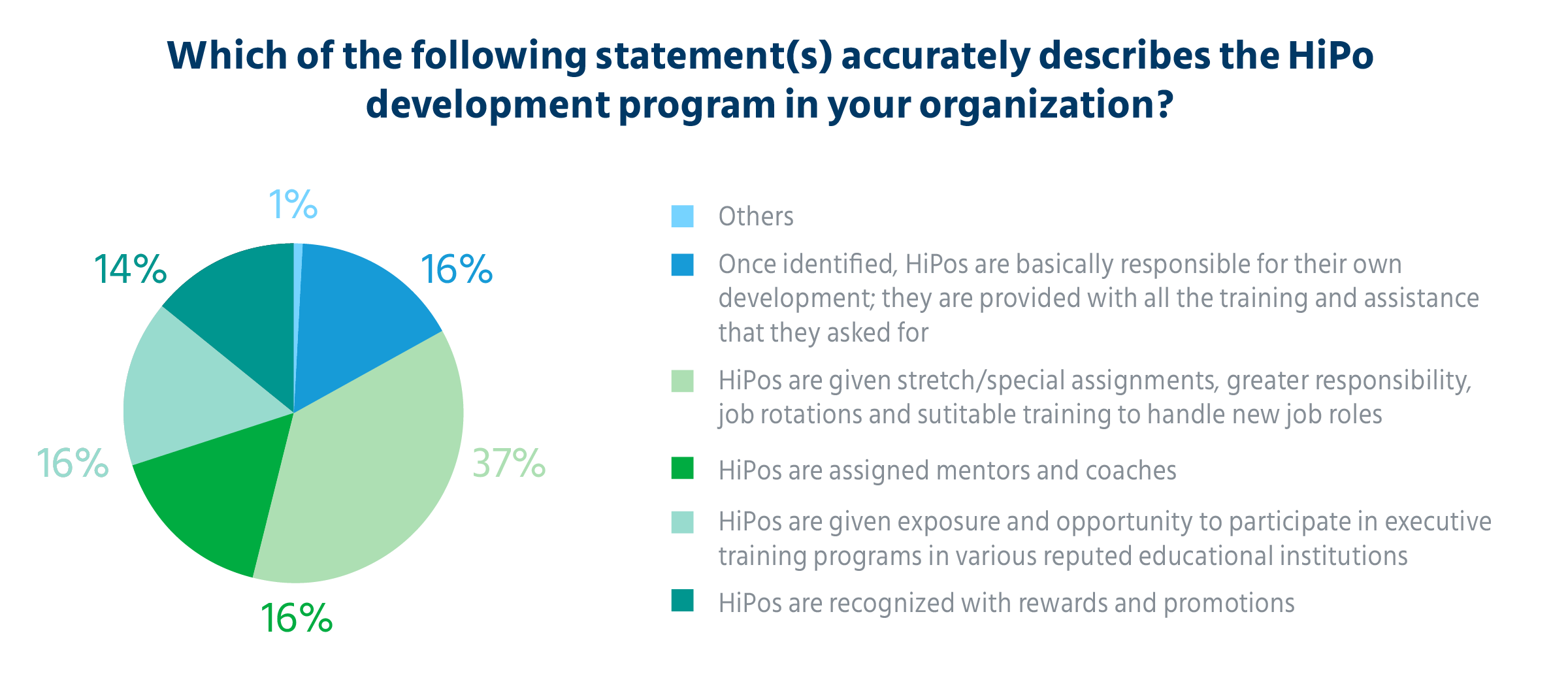 describes_the_HiPo_development_program_in_your_organization