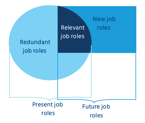 Competency_Framework_for_Each_Job_Role_employee_training_and_development_process_plan